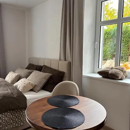 Apartman Brick Karlovy Vary